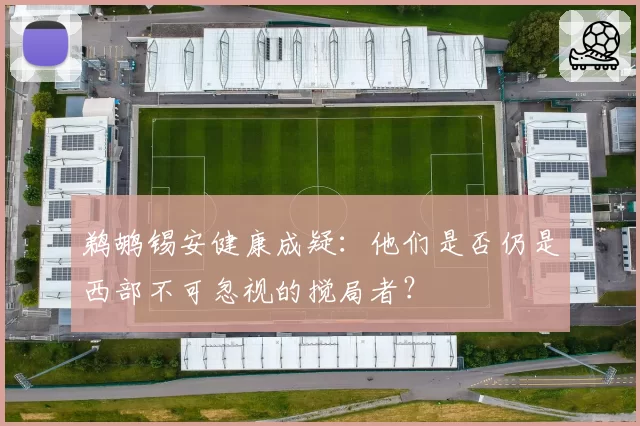 鹈鹕锡安健康成疑：他们是否仍是西部不可忽视的搅局者？