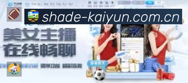 安全使用与支持流程